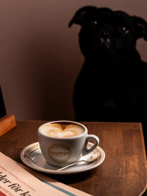 Kaffe och vår lilla maskot på Sospeso